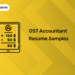 GST Accountant Resume Samples