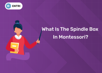 What is the Spindle Box in Montessori