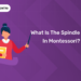 What is the Spindle Box in Montessori