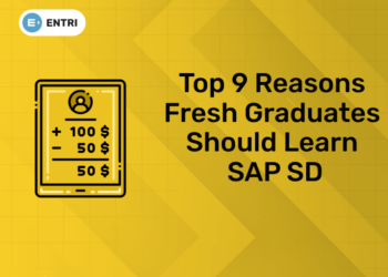 Top 9 Reasons Fresh Graduates Should Learn SAP SD