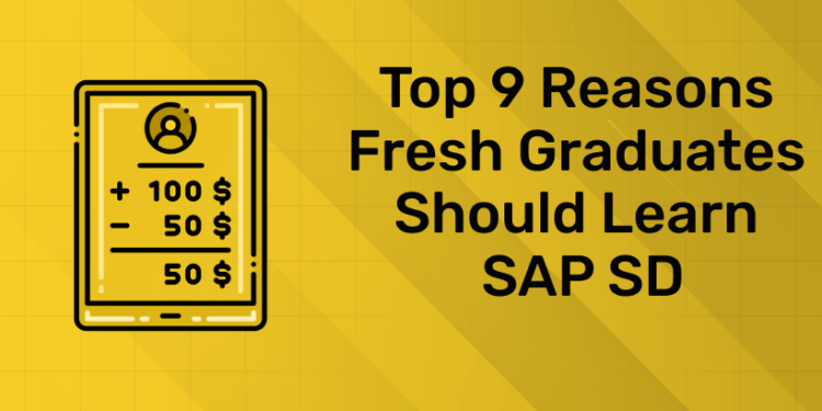 Top 9 Reasons Fresh Graduates Should Learn SAP SD