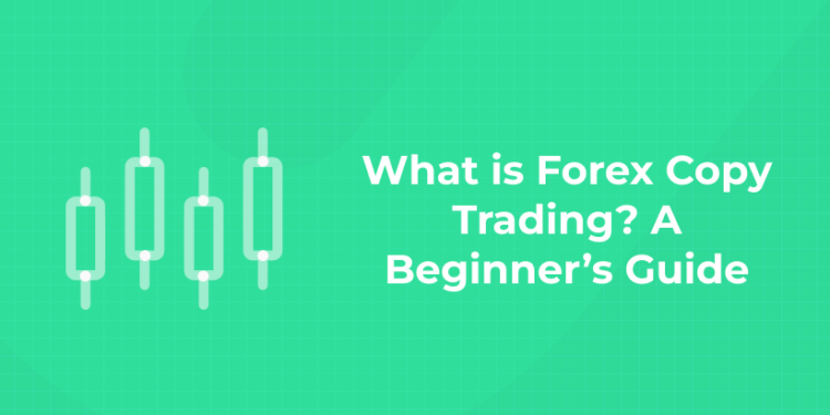 What is Forex Copy Trading A Beginner’s Guide (1)