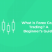 What is Forex Copy Trading A Beginner’s Guide (1)
