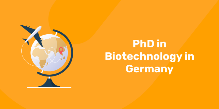 PhD in Biotechnology in Germany