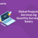 Global Projects Services Ag Quantity Surveyor Salary