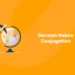 German Haben Conjugation