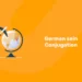 German sein Conjugation