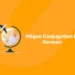 Mögen Conjugation In German