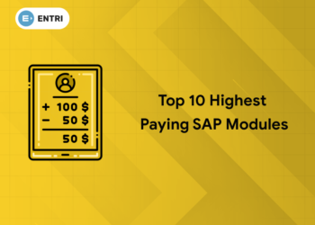 Highest Paying Sap Modules
