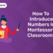 How to Introduce Numbers in Montessori Classroom