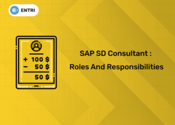SAP SD Consultant : Roles and Responsibilities
