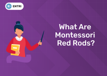 What are Montessori Red Rods