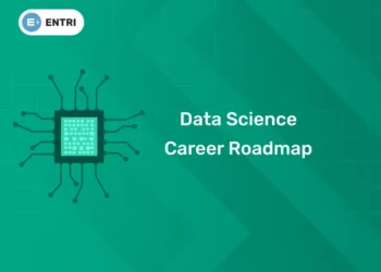 Data Science Career Roadmap