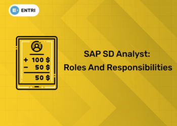 SAP SD Analyst Roles and Responsibilities