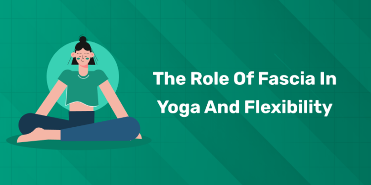 The Role of Fascia in Yoga and Flexibility