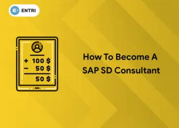 SAP SD Consultant