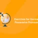 Exercises for German Possessive Pronouns