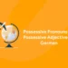 German possessive pronouns vs. adjectives