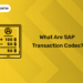 What are SAP Transaction Codes