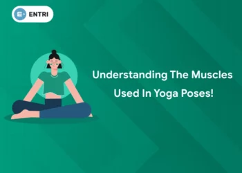 Understanding the Muscles Used in Yoga Poses