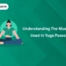 Understanding the Muscles Used in Yoga Poses