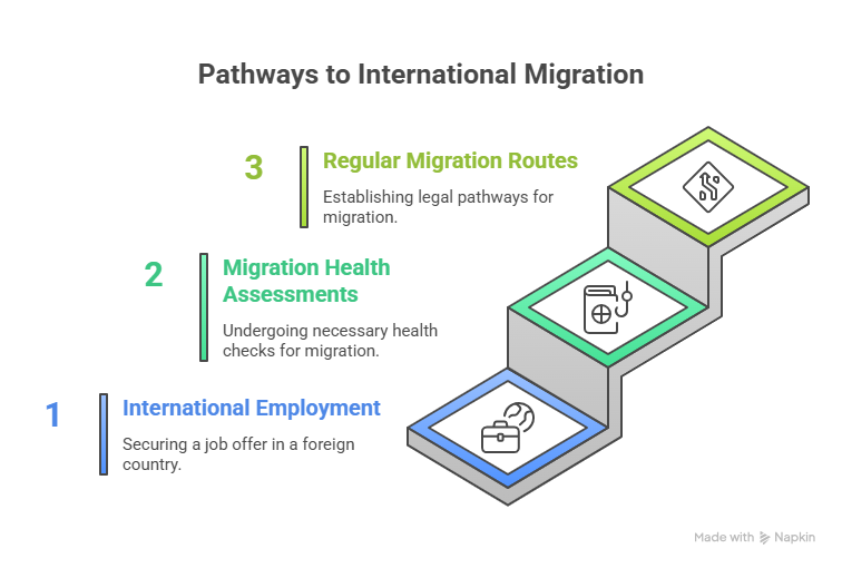 Routes to Migration with a Background in Hospital Administration - visual selection