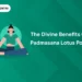 Benefits of Padmasana Lotus Pose