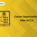 Career Opportunities after ACCA