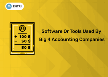 Software or Tools used by Big 4 Accounting Companies