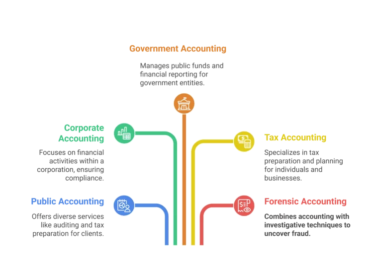 accounting career path