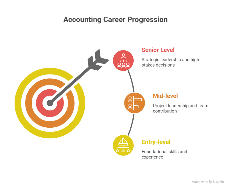Accounting Career stages