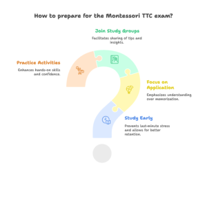 What-Types-of-Questions-Are-Asked-in-the-Montessori-TTC-Exam