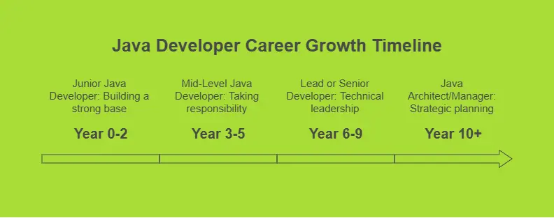 java career growth timeline