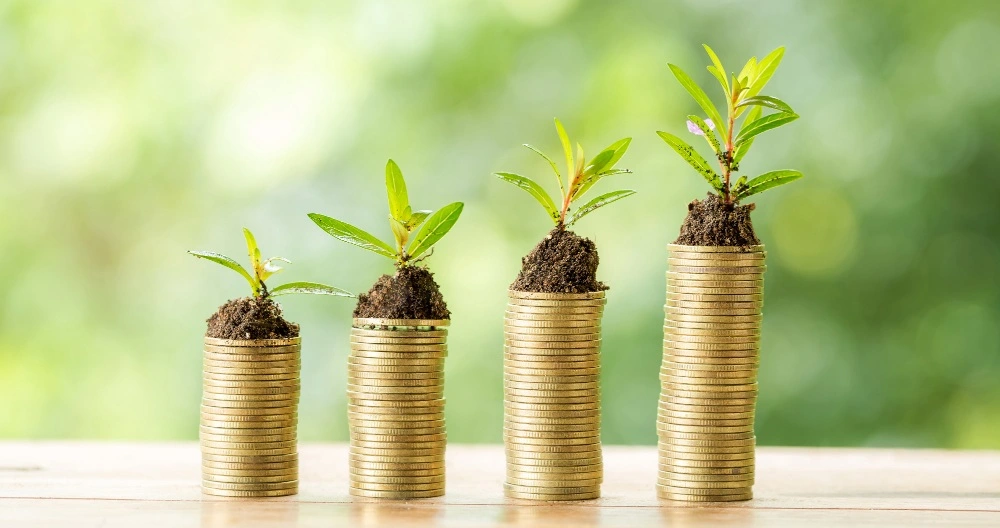 Creating a Long-Term Wealth Plan