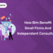 How Bim Benefit Small Firms and Independent Consultants