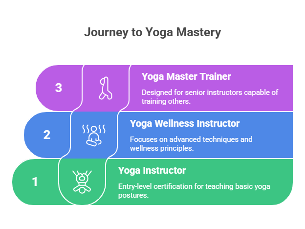 Levels of AYUSH Certification