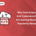 data science and cybersecurity popularity
