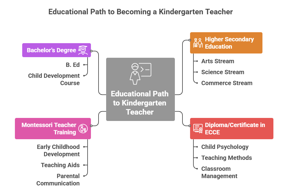 Basic Educational Qualifications Required