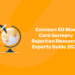 Common EU Blue Card Germany Rejection Reasons – Experts Guide 2025