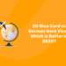 EU Blue Card vs German Work Visa – Which is Better in 2025?