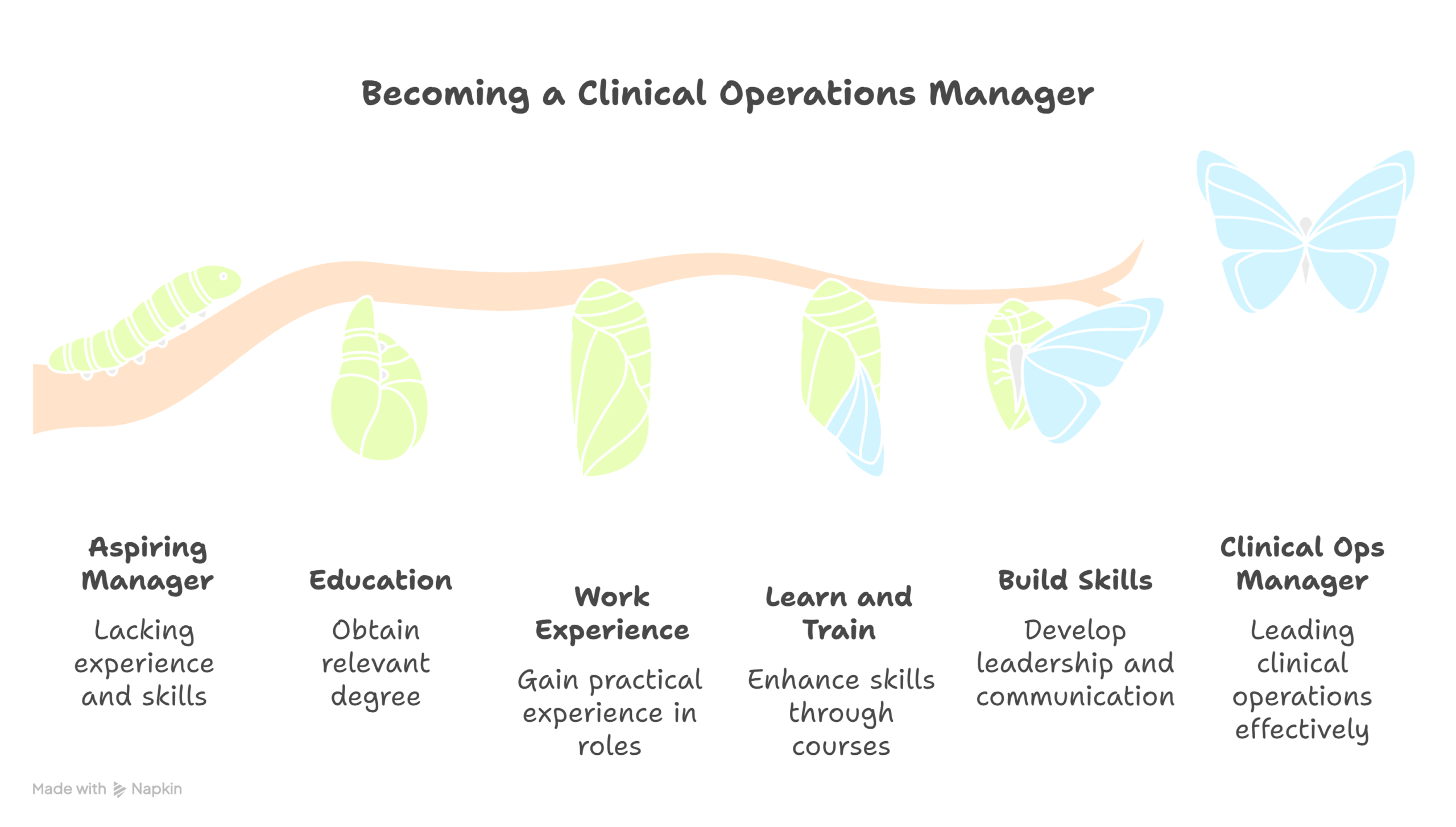 How-to-Become-a-Clinical-Operations-Manager-visual-selection