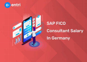 SAP FICO Consultant Salary in Germany