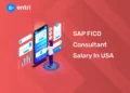 SAP FICO Consultant Salary in USA
