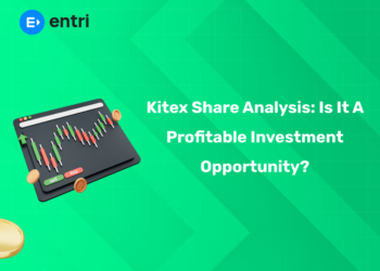 Kitex Share Analysis: Is It a Profitable Investment Opportunity?