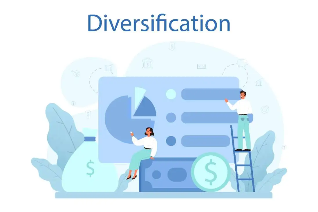 Why Diversification Matters in the Indian Market
