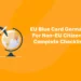 EU Blue Card Germany For Non-EU Citizens: Complete Checklist