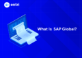 what is sap global