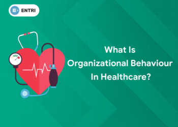 organizational behaviour