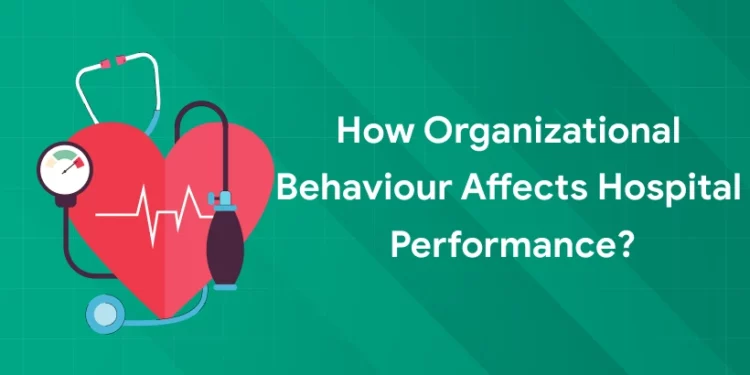 how organizational behaviour affects hospital performance