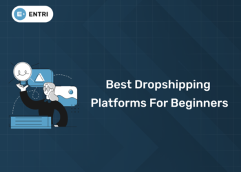 Best Dropshipping Platforms for Beginners